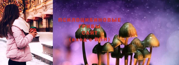 стаф Пестово