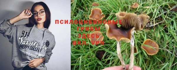 мяу мяу мука Переславль-Залесский